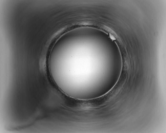 X0000099930535200805231232