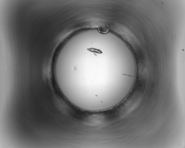 X0000099930536200805231232