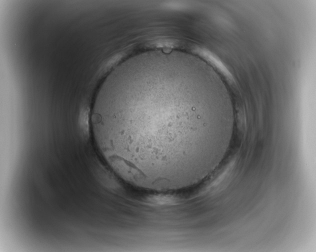 X0000099930537200805231232