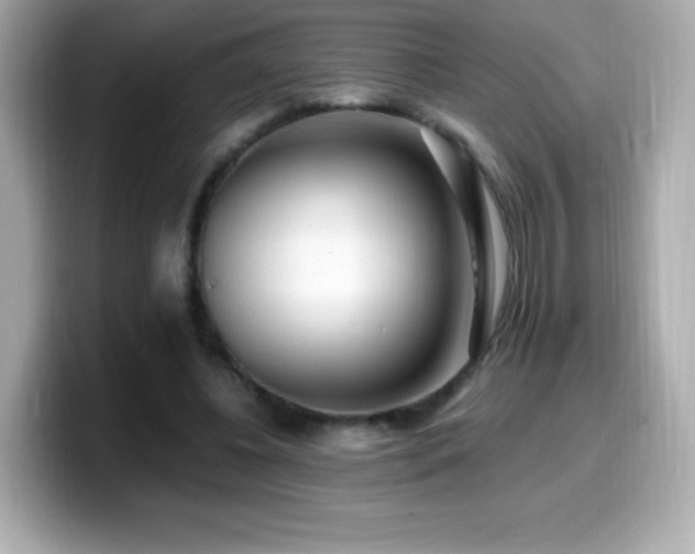 X0000099930540200805231232