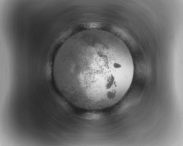 X0000099930545200805231232