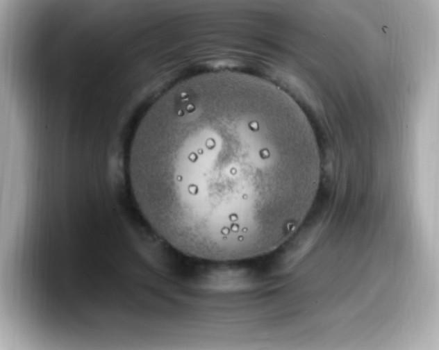 X0000099930547200805231233