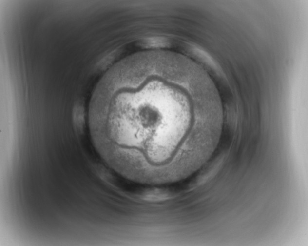 X0000099930549200805231233