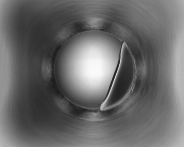 X0000099930552200805231233