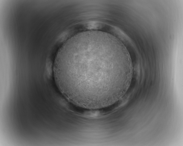 X0000099930554200805231233