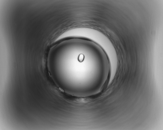 X0000099930558200805231233