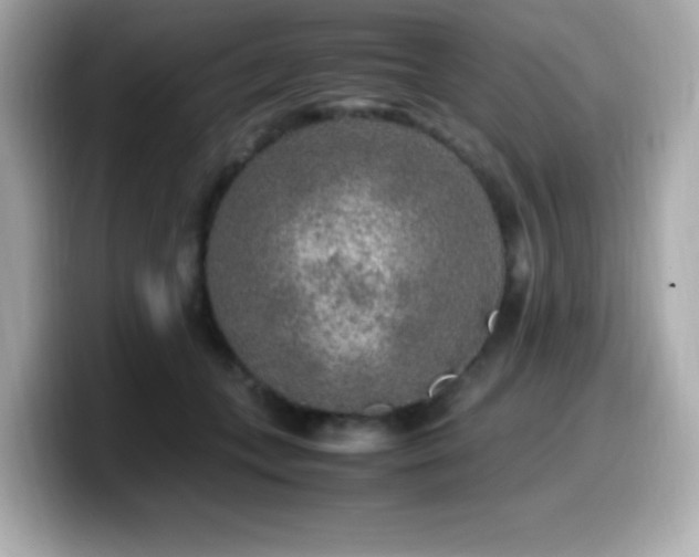 X0000099930559200805231233