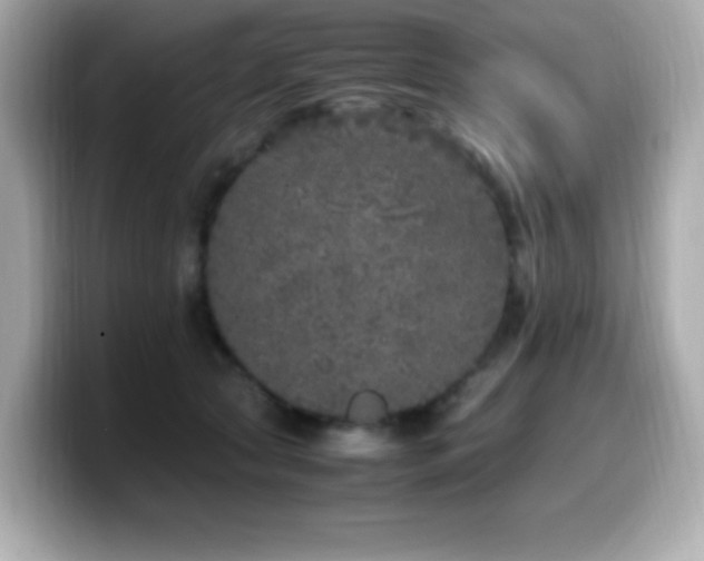 X0000099930561200805231233