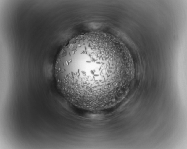 X0000099930563200805231233