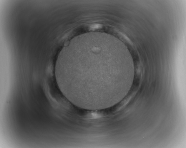 X0000099930565200805231233