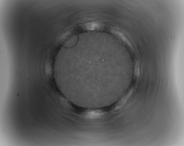 X0000099930569200805231233