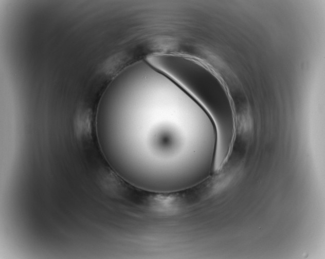 X0000099930570200805231233