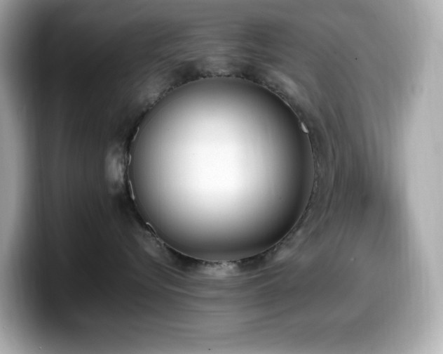 X0000099930576200805231233