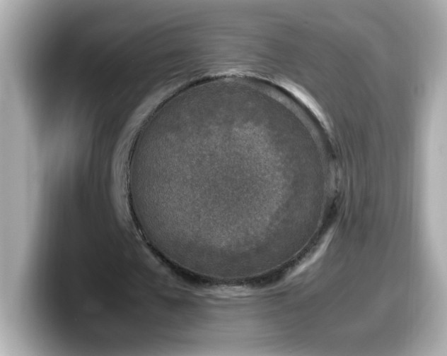 X0000099930577200805231232