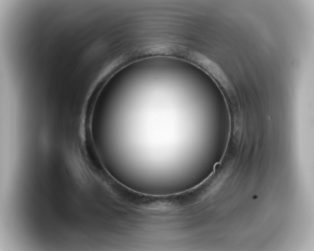 X0000099930578200805231232