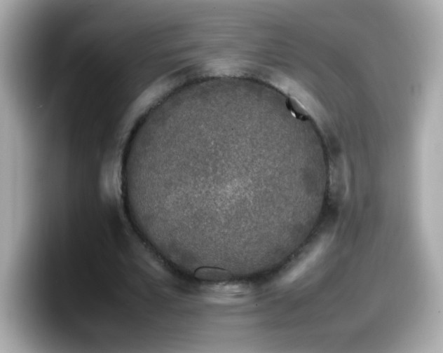 X0000099930581200805231232