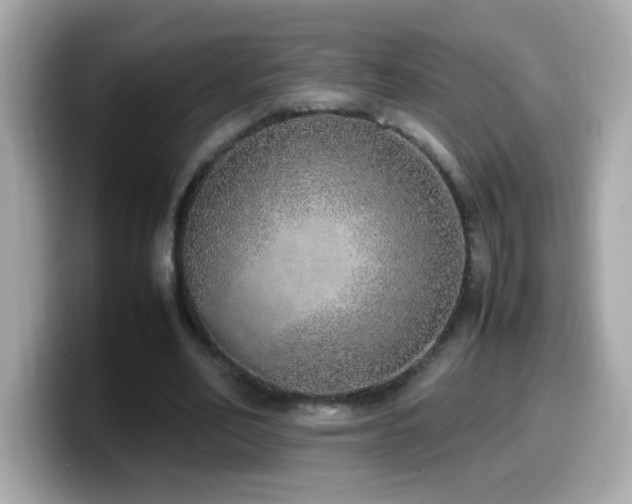 X0000099930582200805231232