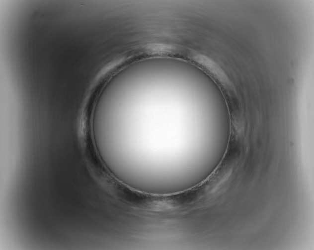 X0000099930583200805231232