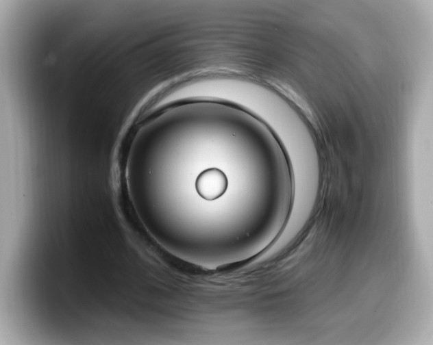 X0000099930584200805231232