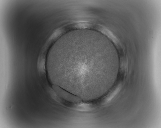 X0000099930585200805231232