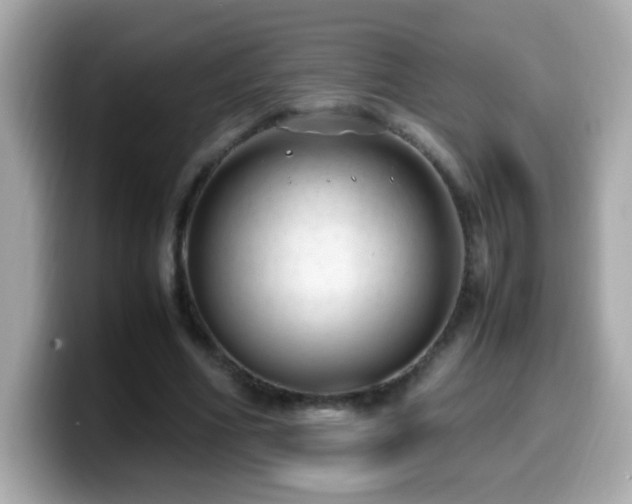 X0000099930586200805231232