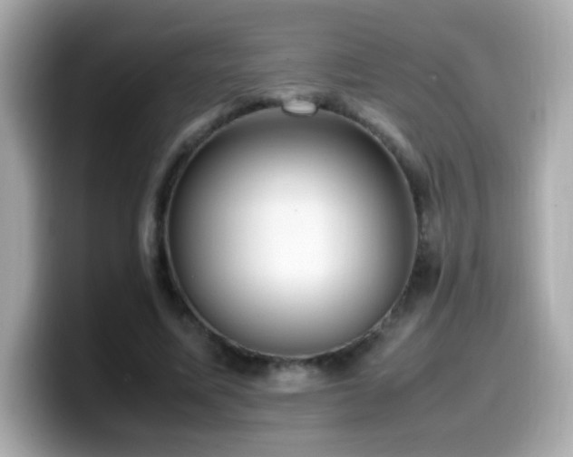 X0000099930587200805231232