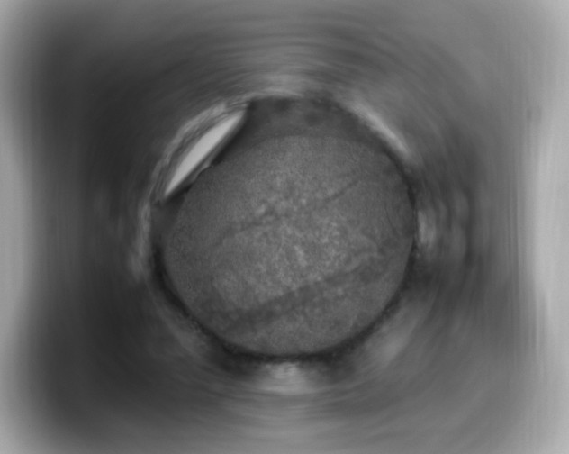 X0000099930588200805231232