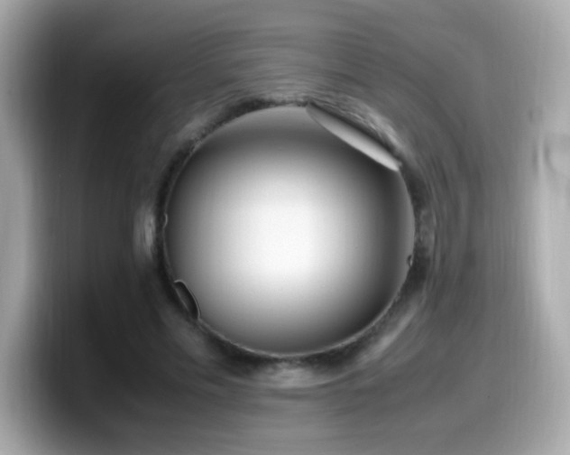 X0000099930589200805231232