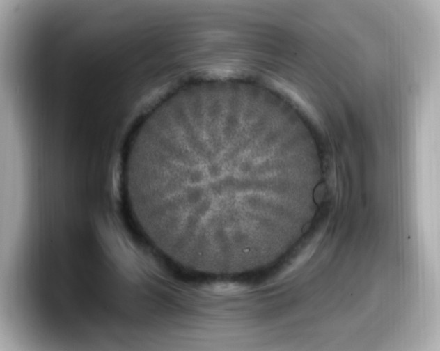 X0000099930590200805231232