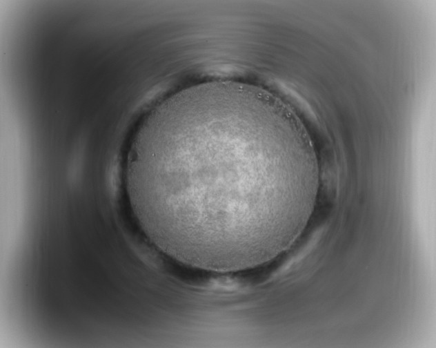 X0000099930591200805231232