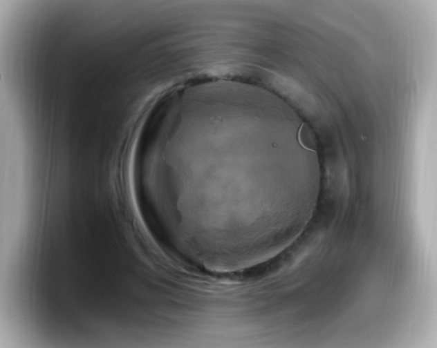 X0000099930592200805231232