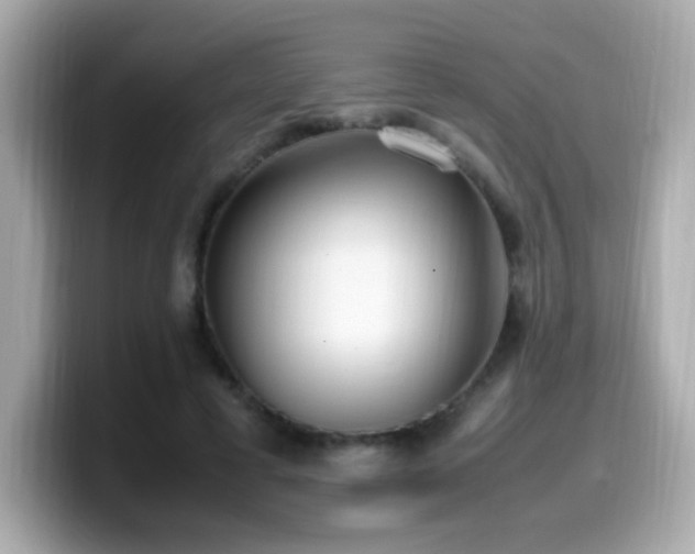 X0000099930593200805231232