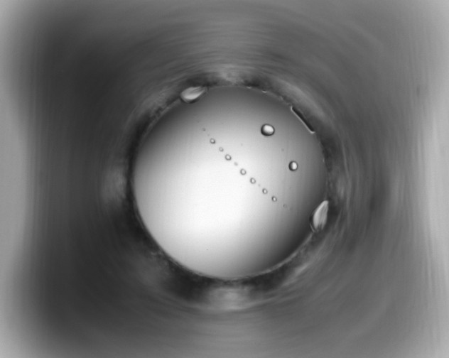 X0000099930595200805231232