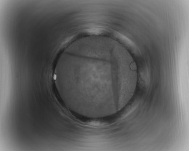 X0000099930596200805231232