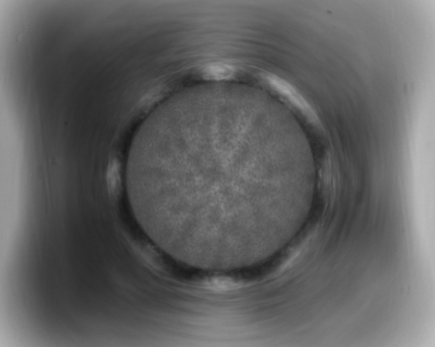 X0000099930598200805231232