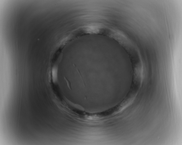 X0000099930600200805231232