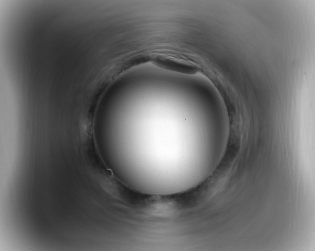 X0000099930601200805231232