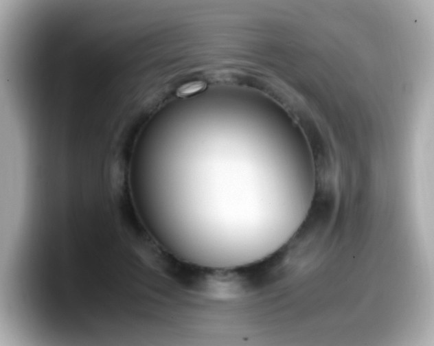 X0000099930603200805231232