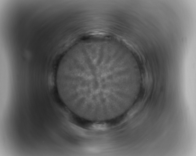 X0000099930606200805231232