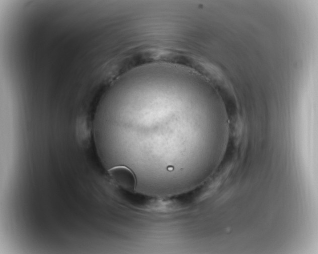 X0000099930607200805231232