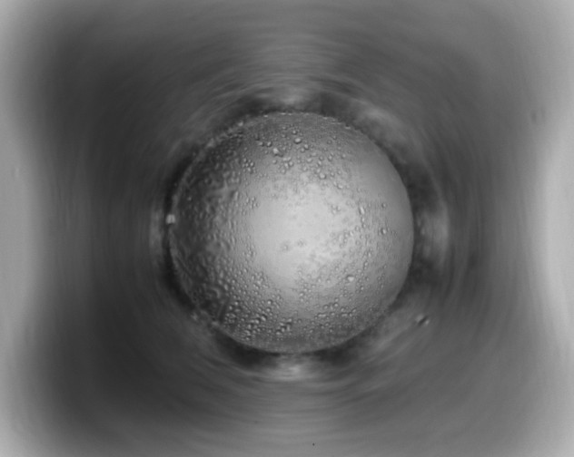 X0000099930612200805231232