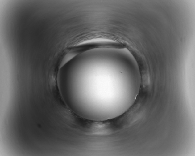 X0000099930613200805231232