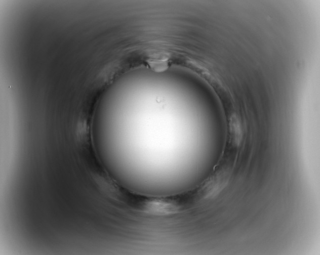 X0000099930614200805231232