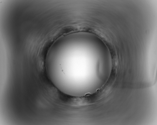 X0000099930615200805231232