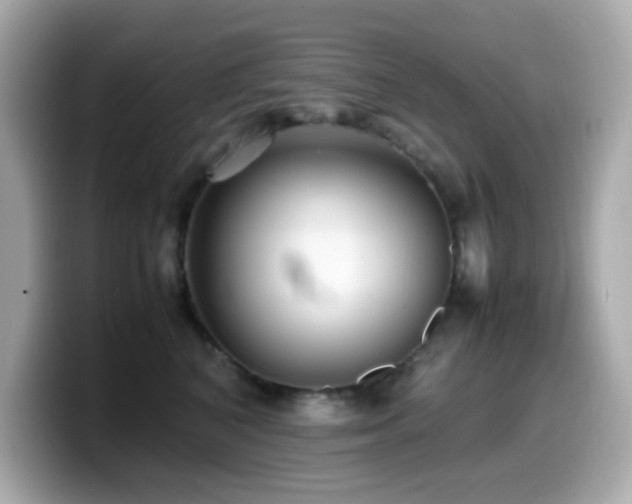 X0000099930616200805231232