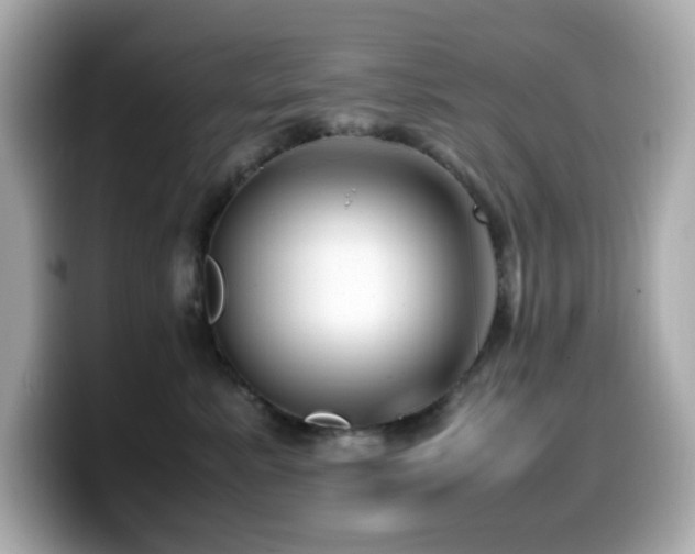 X0000099930619200805231232