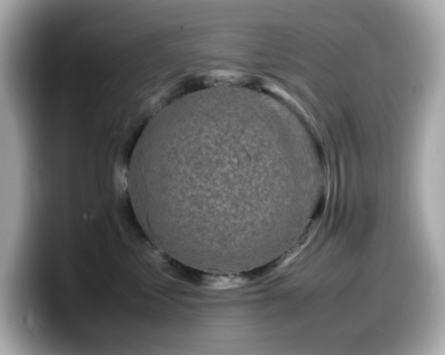 X0000099930621200805231232