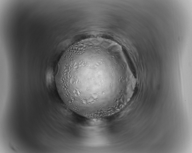 X0000099930623200805231232