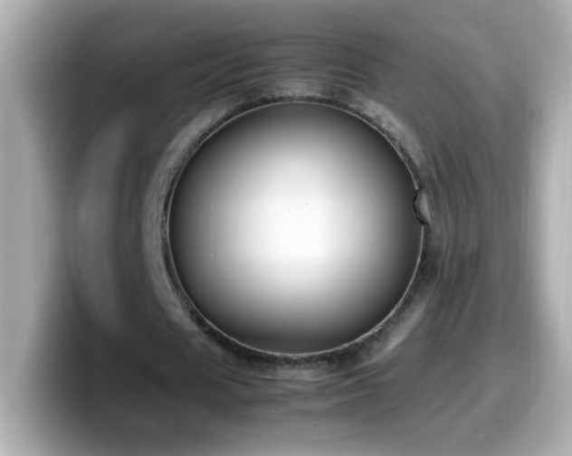 X0000099930625200805231231