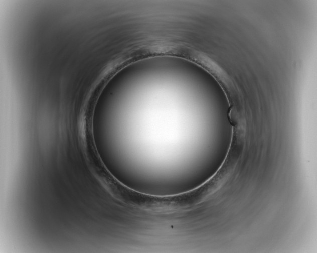 X0000099930626200805231231